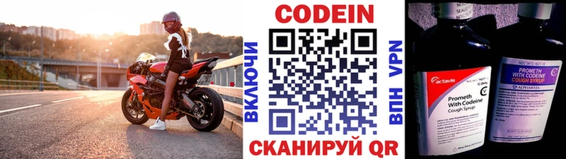 Купить где Нерчинск Codein Purple Drank
