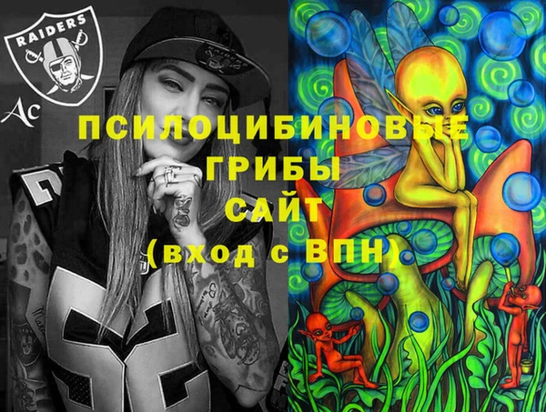 синтетический гашиш Краснослободск